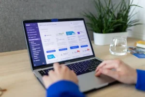 Személy laptopon dolgozik webalkalmazással, asztalon növény, víz.